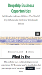 Mobile Screenshot of dropshipdirectory.com